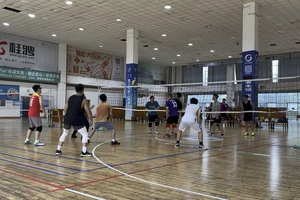 柳州篮球训练基地免费开放